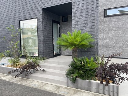 リンクミール(Linkmir)の写真
