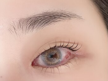 デジール/池袋/韓国風まつ毛パーマ