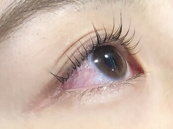 ピクシーボブ(Pixie Bob)/★根本から毛先までカール