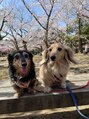 パーフェクトアイ 小松清六店(PerfectEye) 愛犬です!!