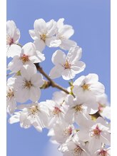 京都ほぐし堂 新都心おもろまち店&nbsp;知念 