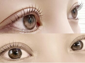 ホルス 泉大津店(Holus)/