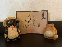 たぬきの隠れ家