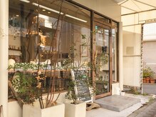 アミティ コーシー(amity cosy)/