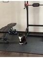 うたた寝 運動をサボってるとベリーちゃんに無言で圧をかけられます泣