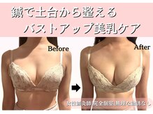 ハリスタ 京橋院(HARISTA)の雰囲気（バストアップ美容鍼でバストアップしない全ての原因にアプローチ）
