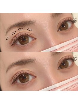 ダリア(DAHLIA)/ブラウンラッシュ140本