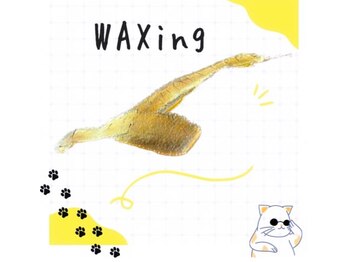 グルーミー(gloomy)/WAX脱毛★細かい産毛もキャッチ