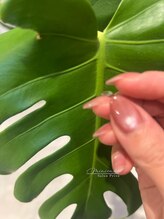 ミニュー(Minieux)/カーキマグネット