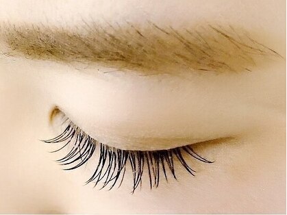 アイラッシュ リフ(Lif)の写真