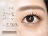 【再来】束感まつ毛パーマ(コーティング仕上げ付)¥5,500