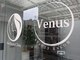 セルフ ヴィーナス(Self Venus)の写真