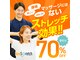 ビーストレッチ イオンモール土岐店(Beeストレッチ)の写真
