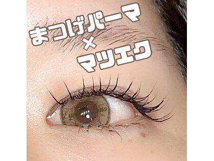 リノ(Lino)の写真