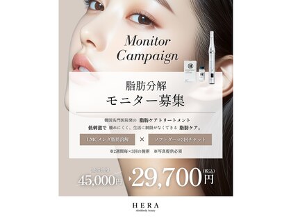 ヘラ(HERA)の写真