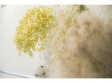 ラブラ バイ スウェラ(Love la by swella)/まつげパーマ