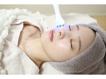 シープ(sheep)/エレクトロポレーション