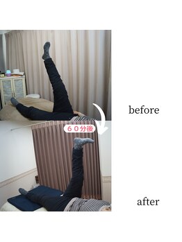 アップルミント/