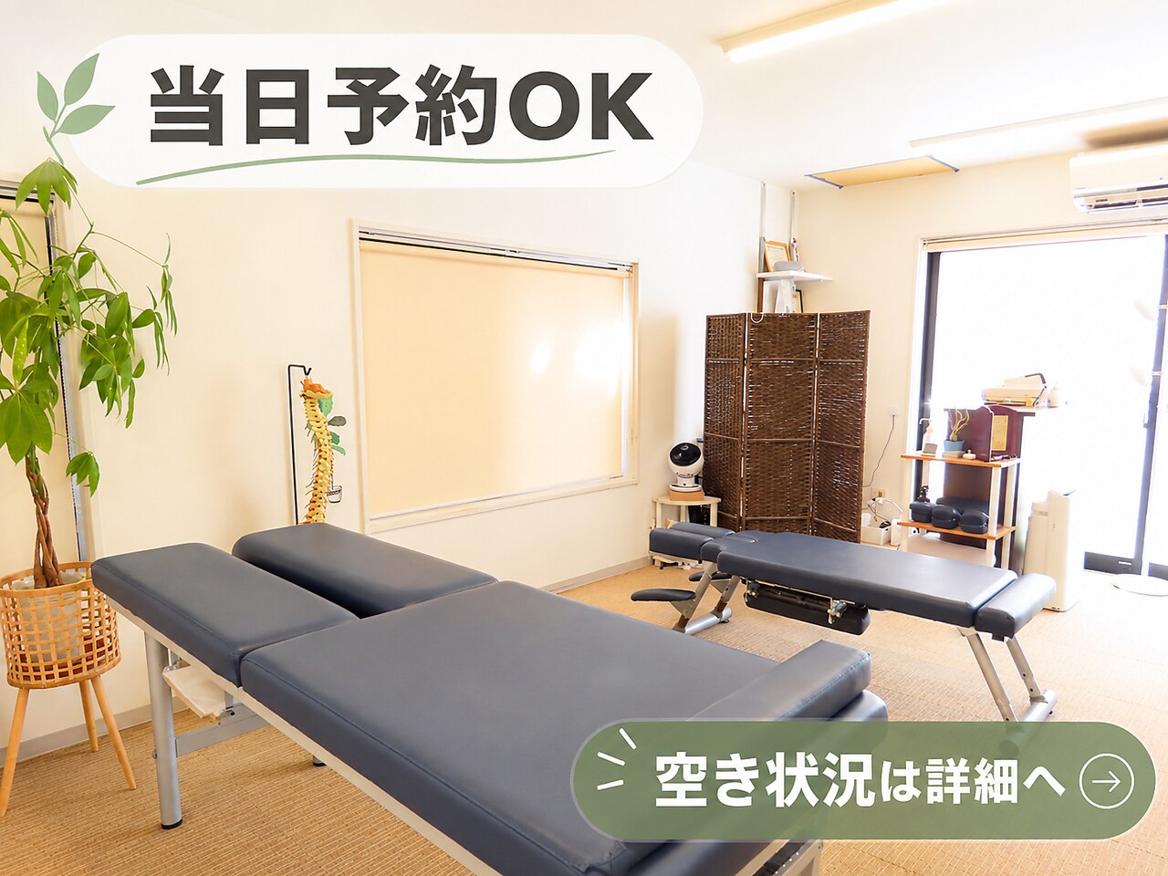 アンリーシュ カイロプラクティック(Unleash Chiropractic