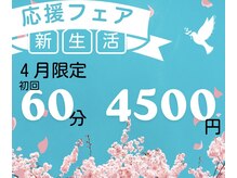 整体サチ(Sachi.)