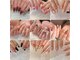 サロンズ ラビット(salonsRABBIT.)の写真