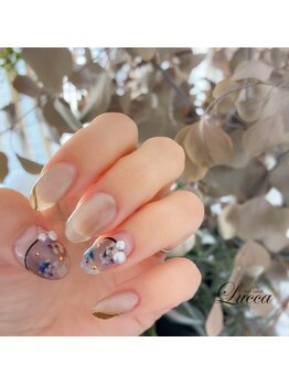 ルッカ(Lucca)/秋冬ドライフラワー