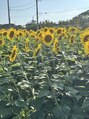 癒し～ぷ 五反田店&nbsp;意外と花が好きで、その中でも一番好きなお花(^^)
