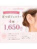 【本日限定】耳つぼジュエリー4個♪耳は美容と健康の救急箱♪