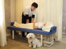 ネセシティ 札幌(nece.city)の雰囲気(愛犬同伴可能で、ワンちゃんも飼い主様もゆったり過ごせます。)