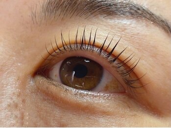 ウルカ アイラッシュ(uruka EYELASH)/ラッシュリフト