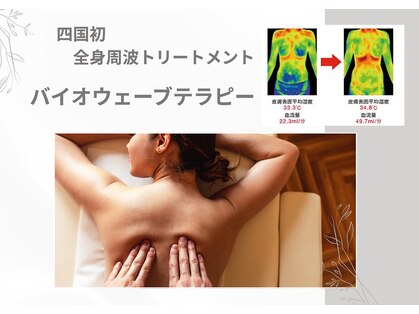 グロッシー(glossy)の写真