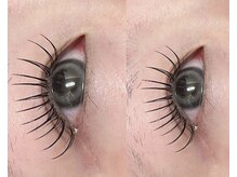 ララ(RARA)/パリエク120本