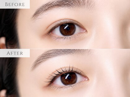 イデアル(Ideal)の写真