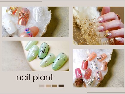 ネイル プラント(nail plant)の写真