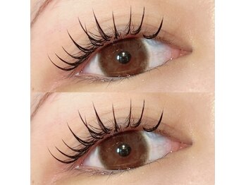 メリア(melia)/BINDROCK 80本