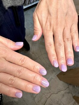 サラサネイルズ 代官山 恵比寿(sarasanails)/ボーダー/クリア/ワンカラー