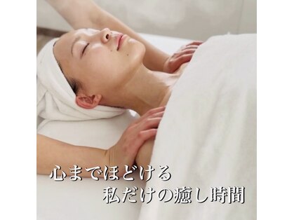 シップ(SHIP)の写真