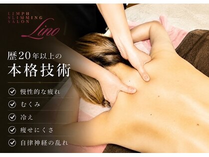 リノ(Lino)の写真