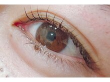 ウタタネ(utatane)/ラッシュリフト