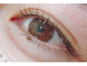 ウタタネ(utatane)/ラッシュリフト