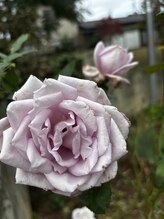 金子リラクゼーション&nbsp;沢田 亜美