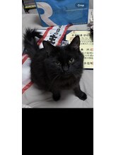 エヌツーネイル(N2.nail) MOMO