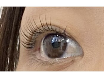 ペルシャ(Persian)/お客様デザイン【若葉/鶴ヶ島】