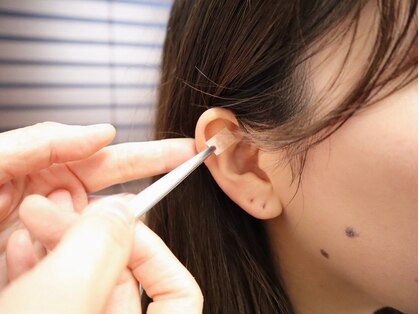 リザテラ(Rizaterra)の写真