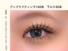 アイマ(AIMA)/アップリフティング140/下エク40