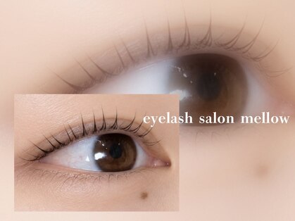メロウ(mellow)の写真