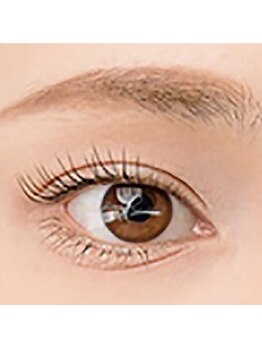 ベル(Bell)/ラッシュリフト　ロッド式