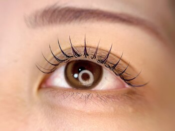 ポレポレ(polepole)/最高級フラットラッシュ