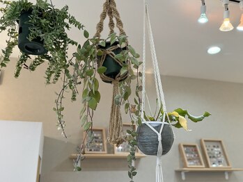 クレー(Klee)/癒し空間♪