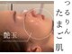 チッチ(Chicchi)の写真